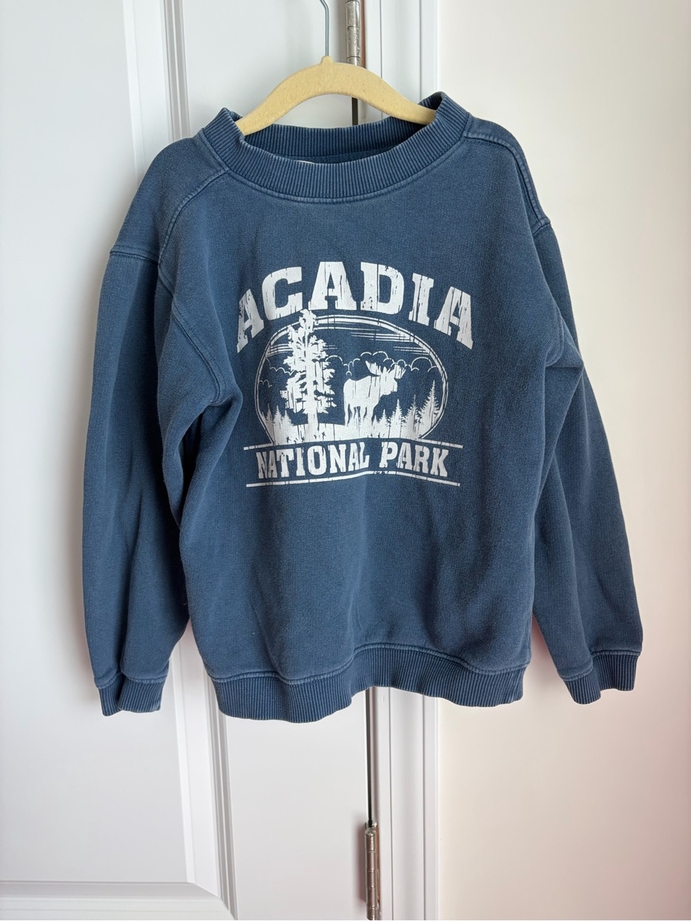 Comfort Colors Blue Acadia National Park Crewneck Sweatshirt
